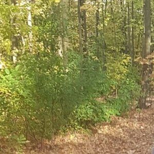 Meet your Posher, Suzana